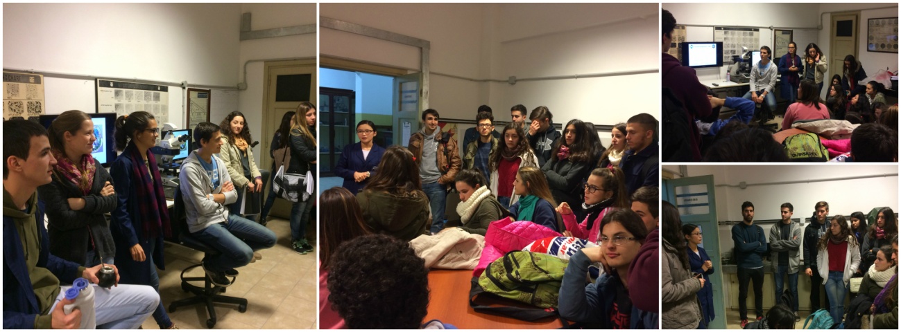 gestion 2