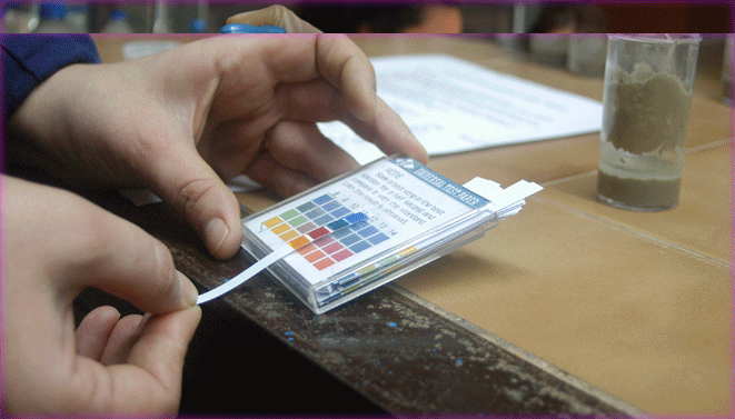 gif investigacion